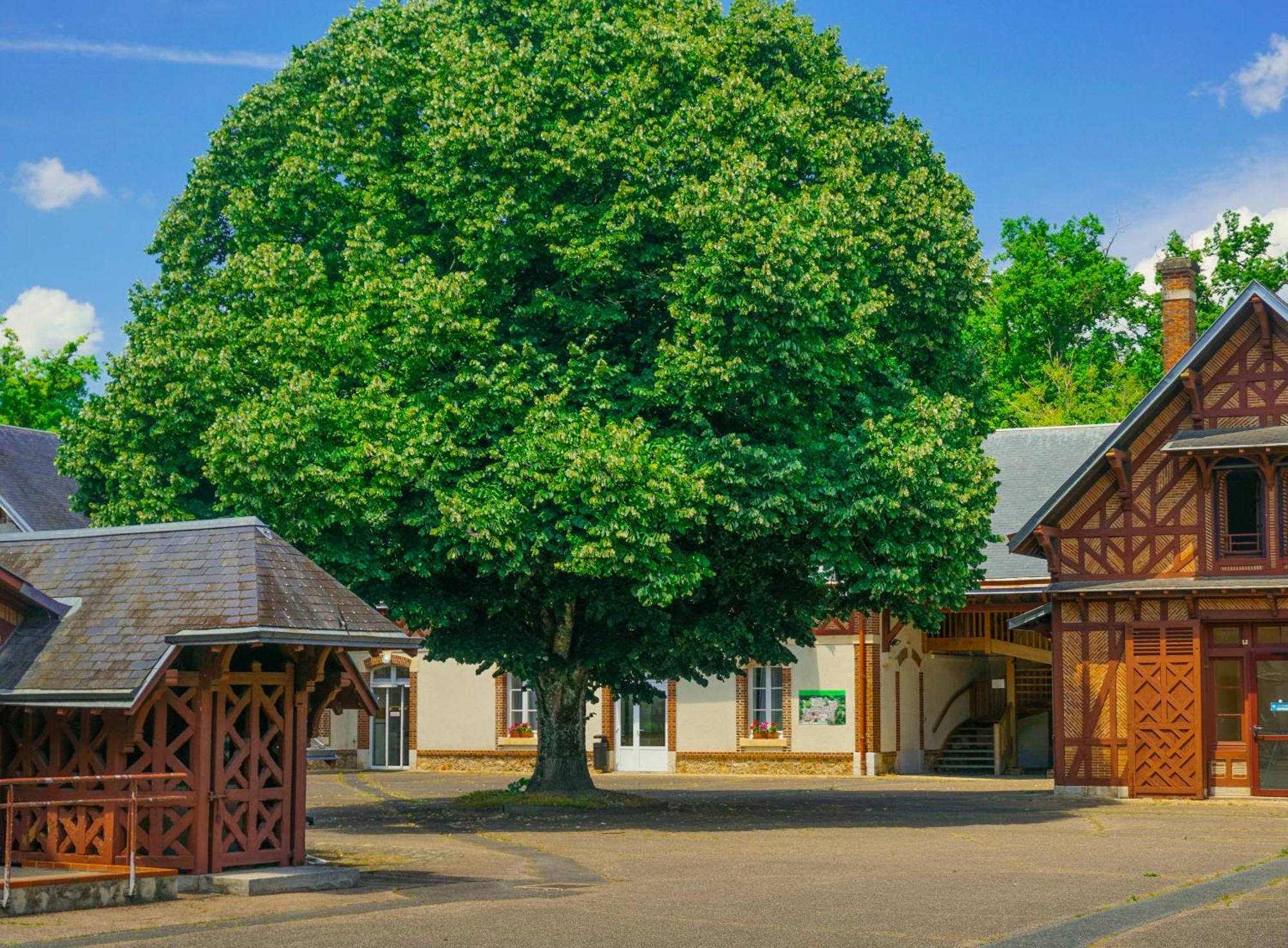 Hotel-Restaurant Domaine De La Grande Garenne Neuvy-sur-Barangeon Zewnętrze zdjęcie