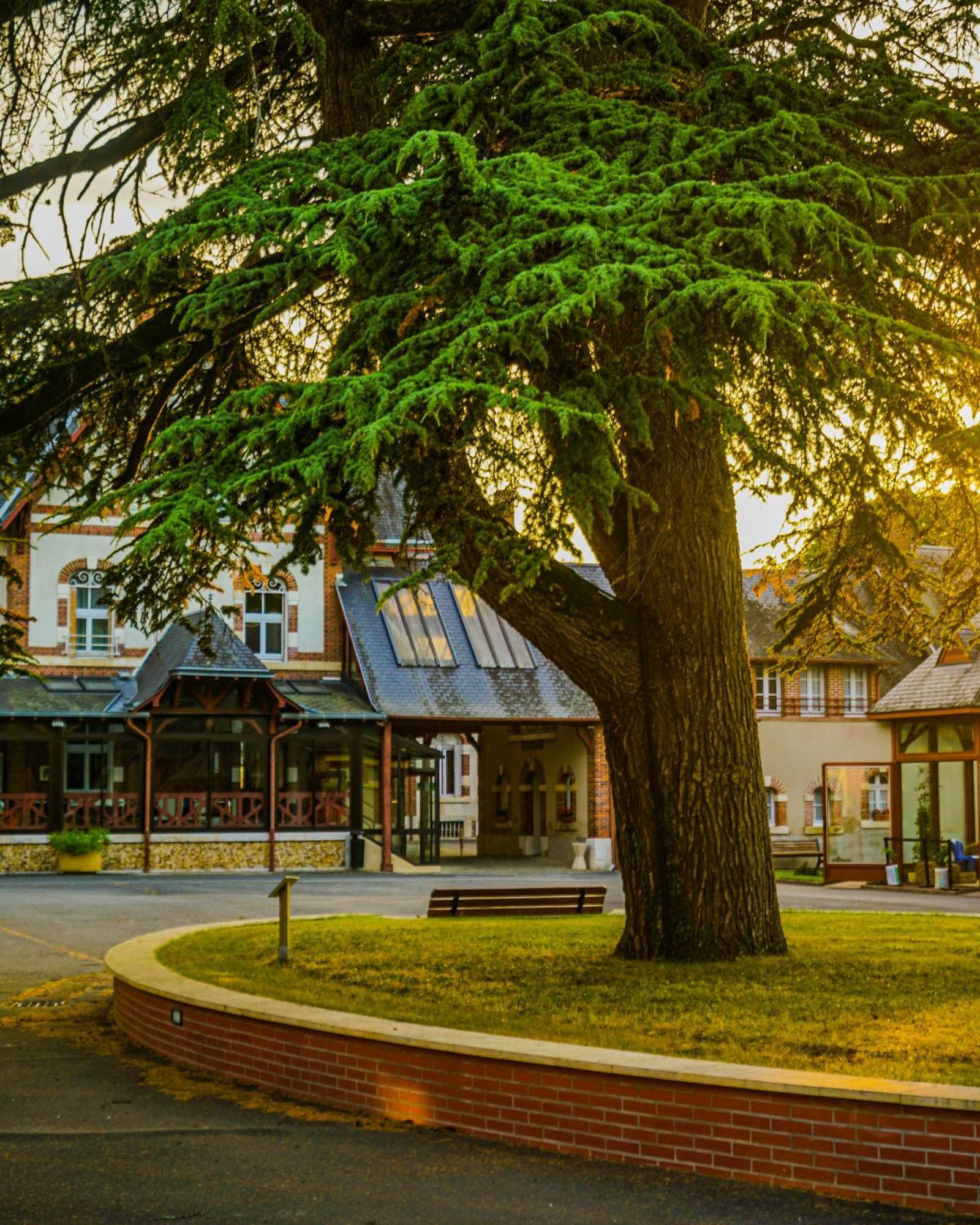 Hotel-Restaurant Domaine De La Grande Garenne Neuvy-sur-Barangeon Zewnętrze zdjęcie